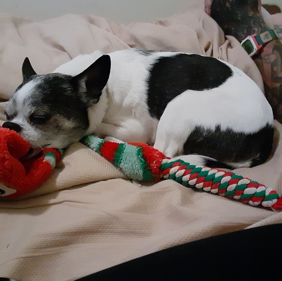 Meet your Posher, Natasha - Picture 14 of 14